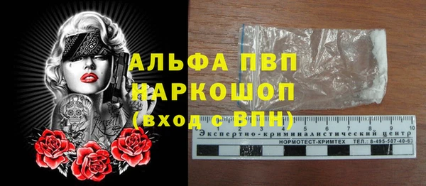 гашик Балахна
