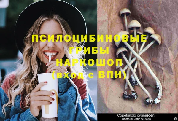 гашик Балахна